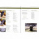 Busato Catalogue raisonné des bronzes, 2000-2010