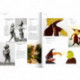 Reinhoud - Vol05 - Catalogue Raisonne-sculptures 1993-2000