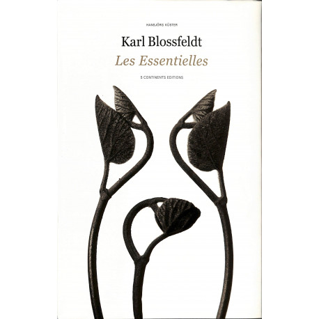 Karl Blossfeldt. Les Essentielles