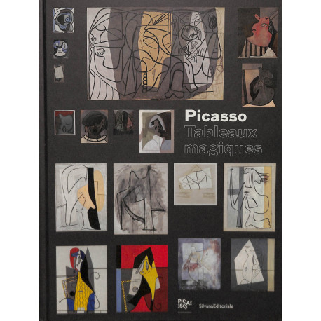 Picasso Tableaux magiques