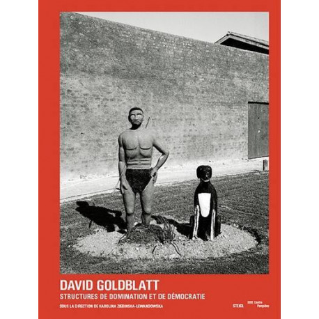 David Goldblatt - Structures, domination et démocratie