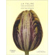La tulipe. Une anthologie
