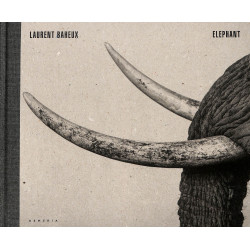 Elephant - Laurent Baheux