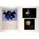 Metamorphoses de Braque - Gouaches Bijoux sculptures Livres d'art Lithographies